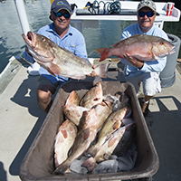 reef fishing charters key west for food fish